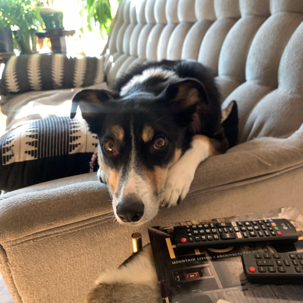 Meet your Posher, Amber